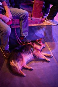 Firlefanzfestival-0525-1- MG 0182